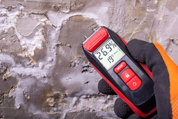 Best Emergency Mold Removal  in Wyoming, IL