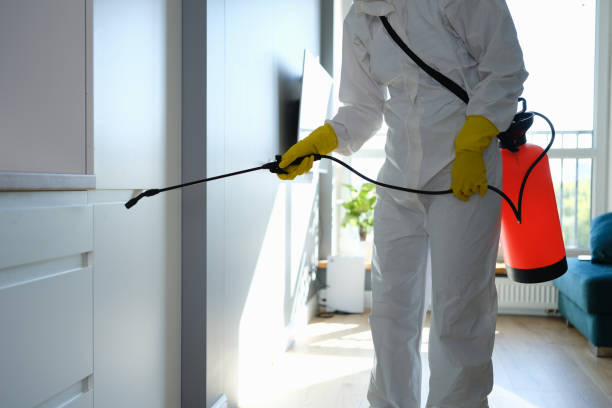 Best Mold Testing  in Wyoming, IL
